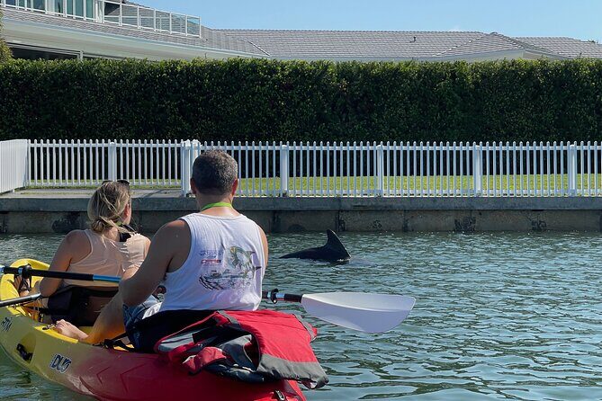 Kayak Eco Tour in Don Pedro Island - A Deep Dive Into the Kayak Eco Tour Experience