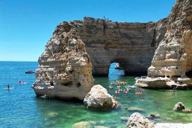 Kayak Experience with a Local - The Itinerary: What You Can Expect