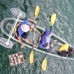 Kayak or Stand Up Paddle in Shkodra Lake and Buna River - A Closer Look at the Tour Experience