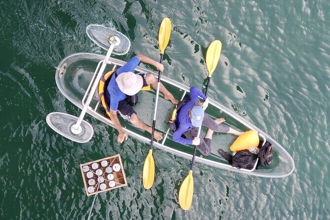 Kayak or Stand Up Paddle in Shkodra Lake and Buna River - A Closer Look at the Tour Experience