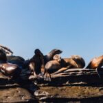 Kayak Rental for Two People in La Jolla - What’s Included and What You Need to Know