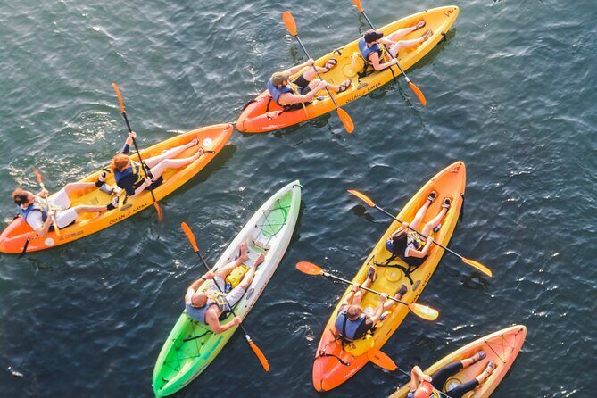 Kayak Rentals on Lady Bird Lake - Is It Worth the Price?