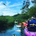 Kayak The Creek Nature Tour - A Deep Dive into the Experience