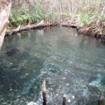 kayak through mangroves to secret beach - Final Thoughts: Who Will Love This Tour?