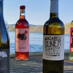 Kayak tour and Wine tasting at the Ebro river - Authentic Traveler Insights