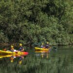KAYAK TOUR I Going down the Lima River in Kayak | AV - Why This Tour Might Be Perfect for You