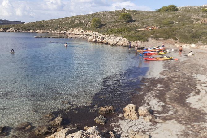 Kayak Tour in the Marine Reserve ! - What’s Not Included and Considerations