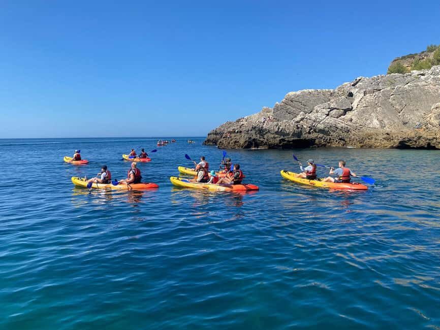 Kayak Tour - Wild Beaches - The Value of this Experience