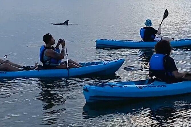 Kayak Tours and Rentals. Dolphins, Manatees, and Bioluminescence! - Who Is This Tour Best For?