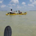 Kayak Trip, 1 Wet Hike + 2 dry hikes in Everglades National Park - The Experience: Why It Stands Out