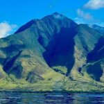 Kayak, Whale Watch, and Snorkel With Optional Photo and Video - The Itinerary: What You Can Expect