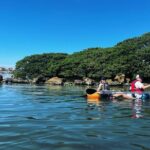 Kayaking Clear through Clearwater - The Details: Price, Duration, and What’s Included