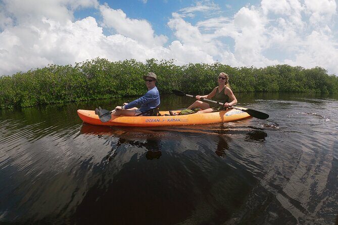 Kayaking in the Mangroves Experience - Who Is This Tour Best For?