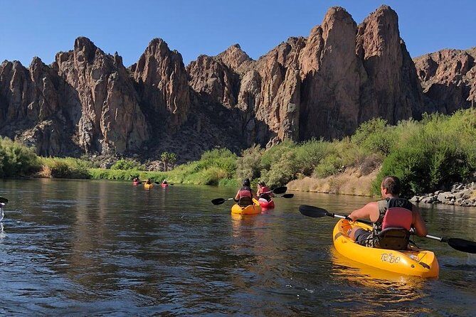 Kayaking the Salt River Foxtail Trip - Scenery and Wildlife: What You’ll See