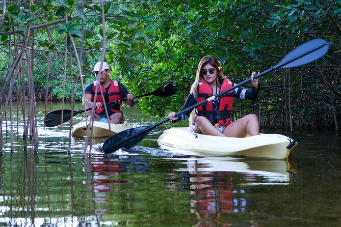 Kayaking Tour in Cancun - Who Is This Tour Best For?