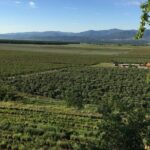 Kazanlak Full-Day Tour from Sofia - Who Will Love This Tour?