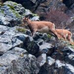 Kazbegi, Ananuri , Gudauri and Zhinvali (Group Tour) - Final Thoughts