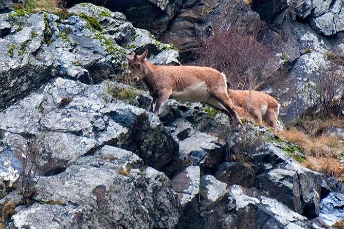 Kazbegi, Ananuri , Gudauri and Zhinvali (Group Tour) - Final Thoughts