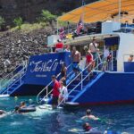 Kealakekua Bay Afternoon Snorkel: Family Fun on the Kona Coast - Why This Tour Offers Great Value