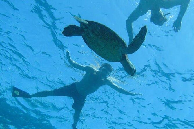 Kealakekua Bay Captain Cook Snorkel Exclusive - The Scenic Boat Ride