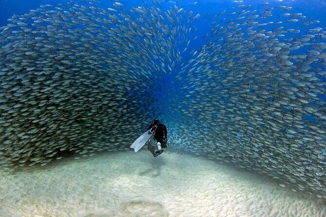 Kealakekua Bay Captain Cook Snorkeling - The Boat & Group Size