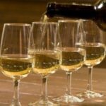 Kefalonia Private Wine Tour - How the Tour Fits into Your Trip