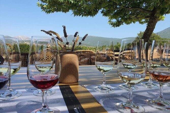 Kefalonia Wine Adventure in 3 Wineries With Tastings - The Bottom Line: Is It Worth It?