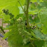 Kefalonia Wine Tour on E-Bikes - Final Thoughts