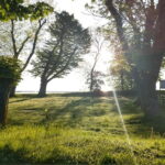 Keitum: Guided Village Walking Tour - Things to Keep in Mind