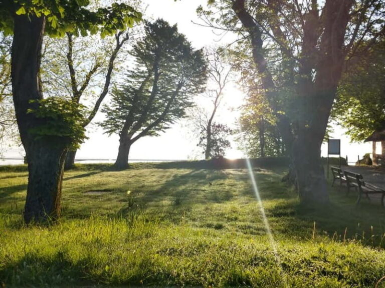 Keitum: Guided Village Walking Tour - Things to Keep in Mind