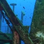 Kemer: Scuba Diving Experience in Aquarium and Kiris Bays - FAQ