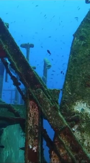 Kemer: Scuba Diving Experience in Aquarium and Kiris Bays - FAQ