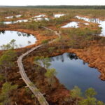 Kemeri National Park & Baltic Seaside Tour Bog Boardwalk - What Makes This Tour Special?