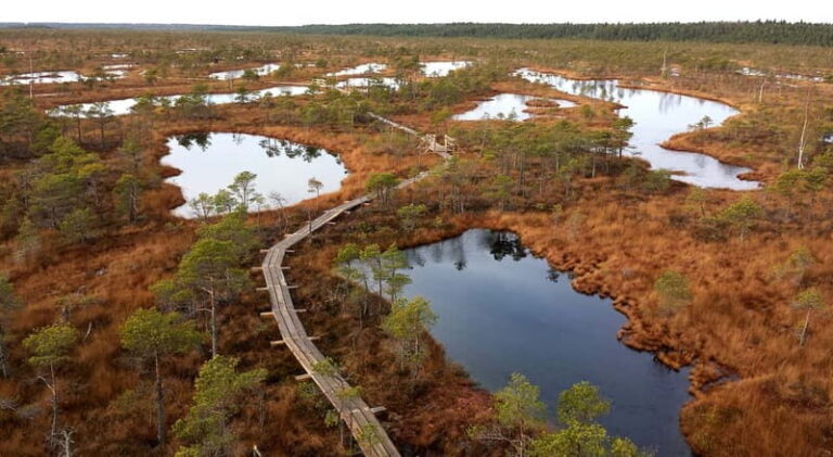 Kemeri National Park & Baltic Seaside Tour Bog Boardwalk - What Makes This Tour Special?