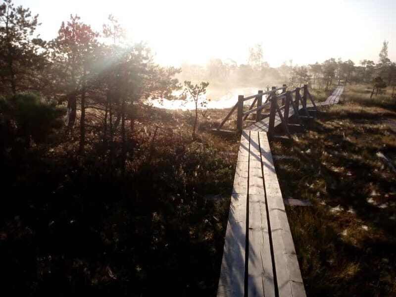 Kemeri National Park Bog Trail near Riga - Practical Details and Tips
