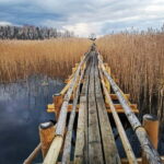 Kemeri National Park Outdoor Tour - Authentic Traveler Perspectives