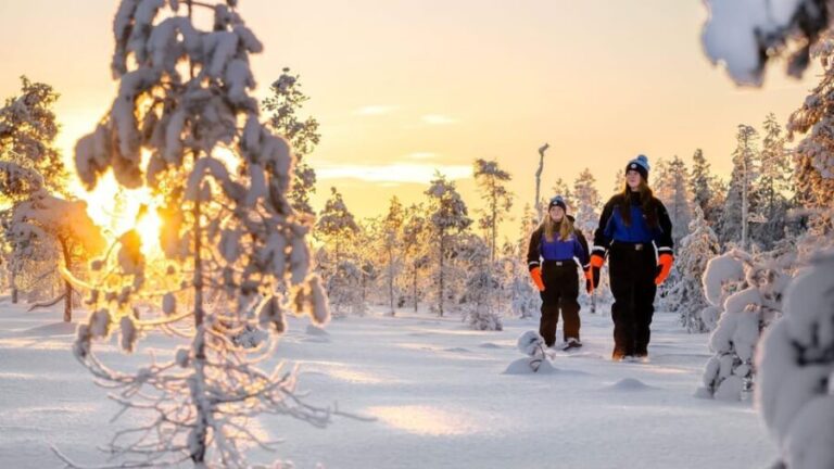 Kemi-Tornio: Nature tour with snowshoes - The Campfire and Hot Drinks