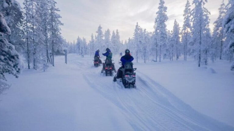 Kemi-Tornio: Snowmobile Forest Safari w/ Hot Drink & Snacks - Is It Good Value?
