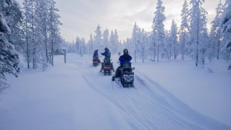 Kemi-Tornio: Snowmobile Forest Safari w/ Hot Drink & Snacks - Is It Good Value?