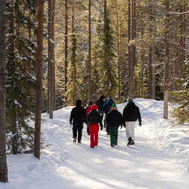 Kemijärvi: Insider Korouoma Frozen Waterfalls Hike - Authentic Experiences and Real Feedback