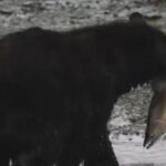 Ketchikan Alaska private tour - What You Can Expect From the Itinerary