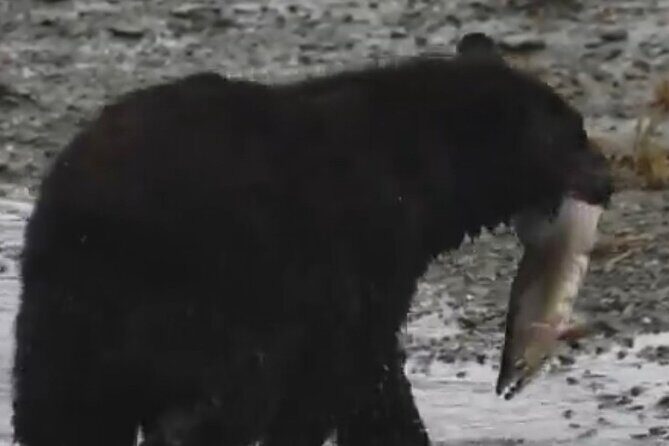 Ketchikan Alaska private tour - What You Can Expect From the Itinerary