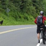 Ketchikan Electric Bike and Rain Forest Hike Ecotour - The Bikes and the Terrain