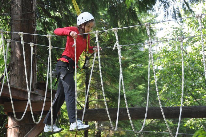 Ketchikan Shore Excursion: Rainforest Canopy Ropes and Zipline Adventure Park - FAQ