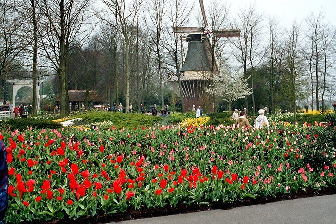 Keukenhof and Flower Fields Private Tour from Amsterdam - The Itinerary Breakdown