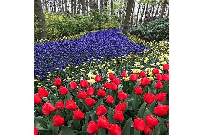 Keukenhof Private Floral Tour from Amsterdam - The Cost and Value