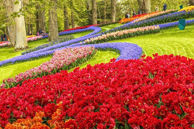 Keukenhof Tulip Garden Tour - FAQ: Your Practical Questions Answered