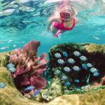 Key Largo Snorkeling Tour - rental mask, fins and vest INCLUDED - The Pros and Cons