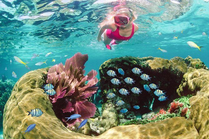 Key Largo Snorkeling Tour - rental mask, fins and vest INCLUDED - The Pros and Cons