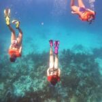 Key Largo Two Reef Snorkel Tour - All Snorkel Equipment Included! - The Practicalities: Price, Duration, and Booking